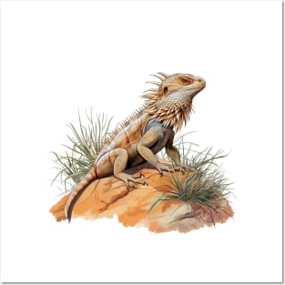 Pogona Posters and Art